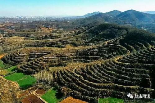 国产三级乡下,国产三级电影的乡村画卷